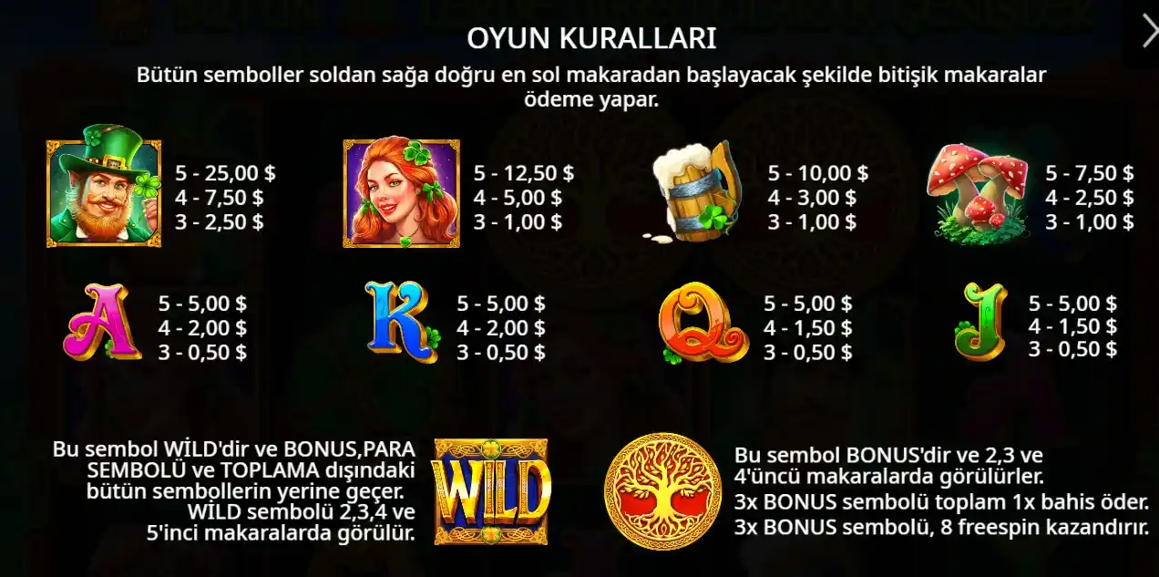 Farklı semboller ve kazanç değerlerinin gösterildiği ödeme tablosu